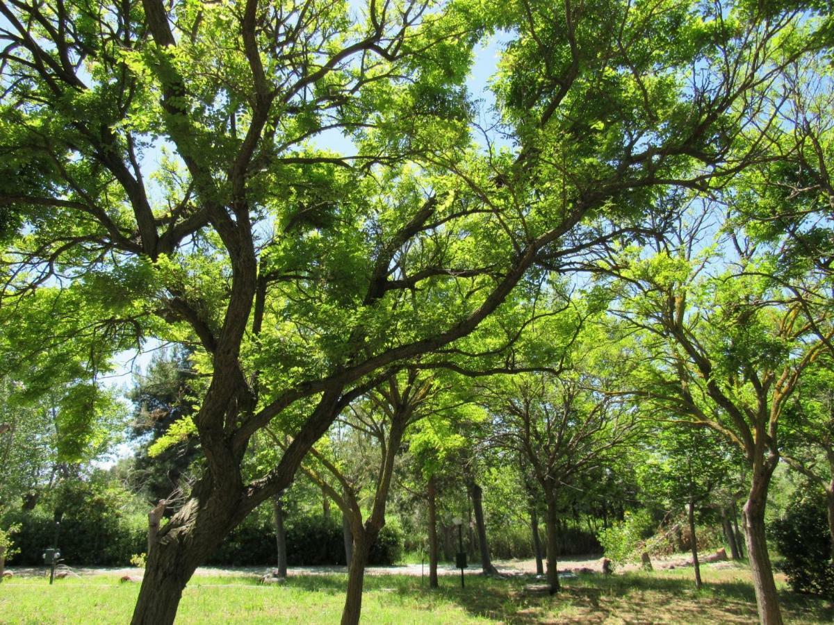 אורטונה Camping Torre Mucchia מראה חיצוני תמונה